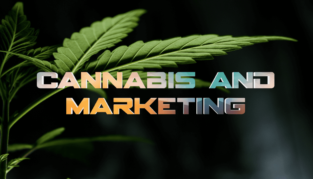 cannabis marketing blog