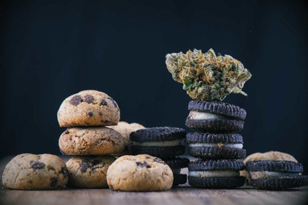 washington state edibles cannabis tourism laws