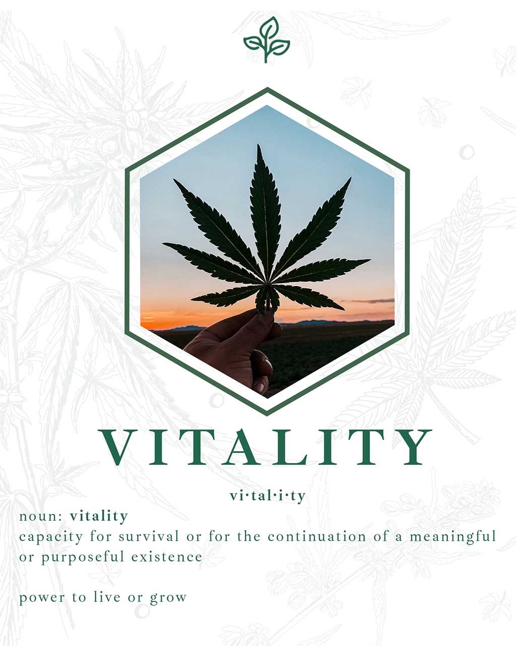 vitality farms hemp graphic design