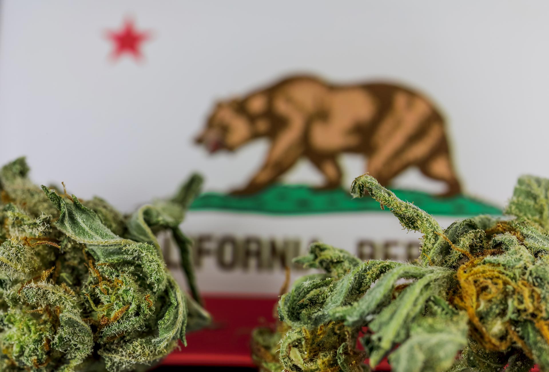 california hemp cannabis marketing billboard blog