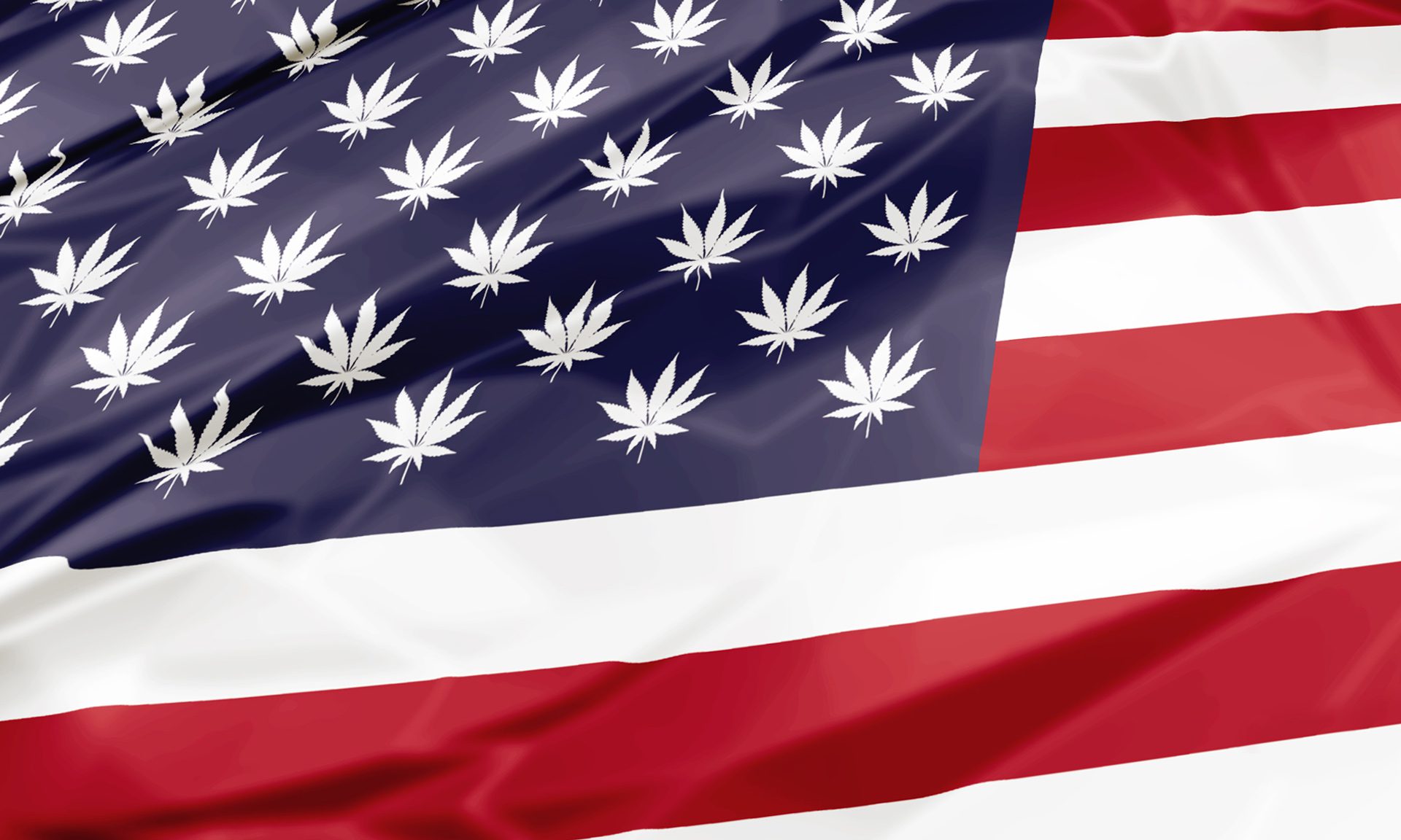 pufcreativ-blog-legal-cannabis-2022