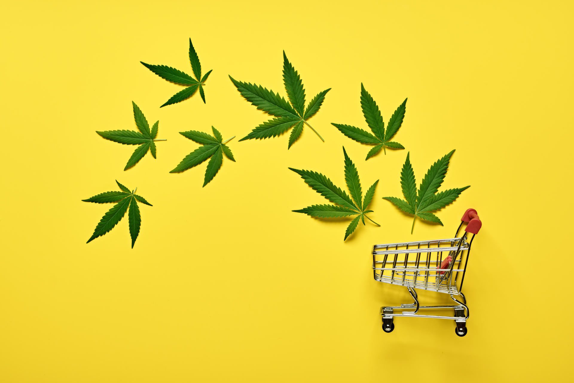 pufcreativ-blog-marketing-cannabis
