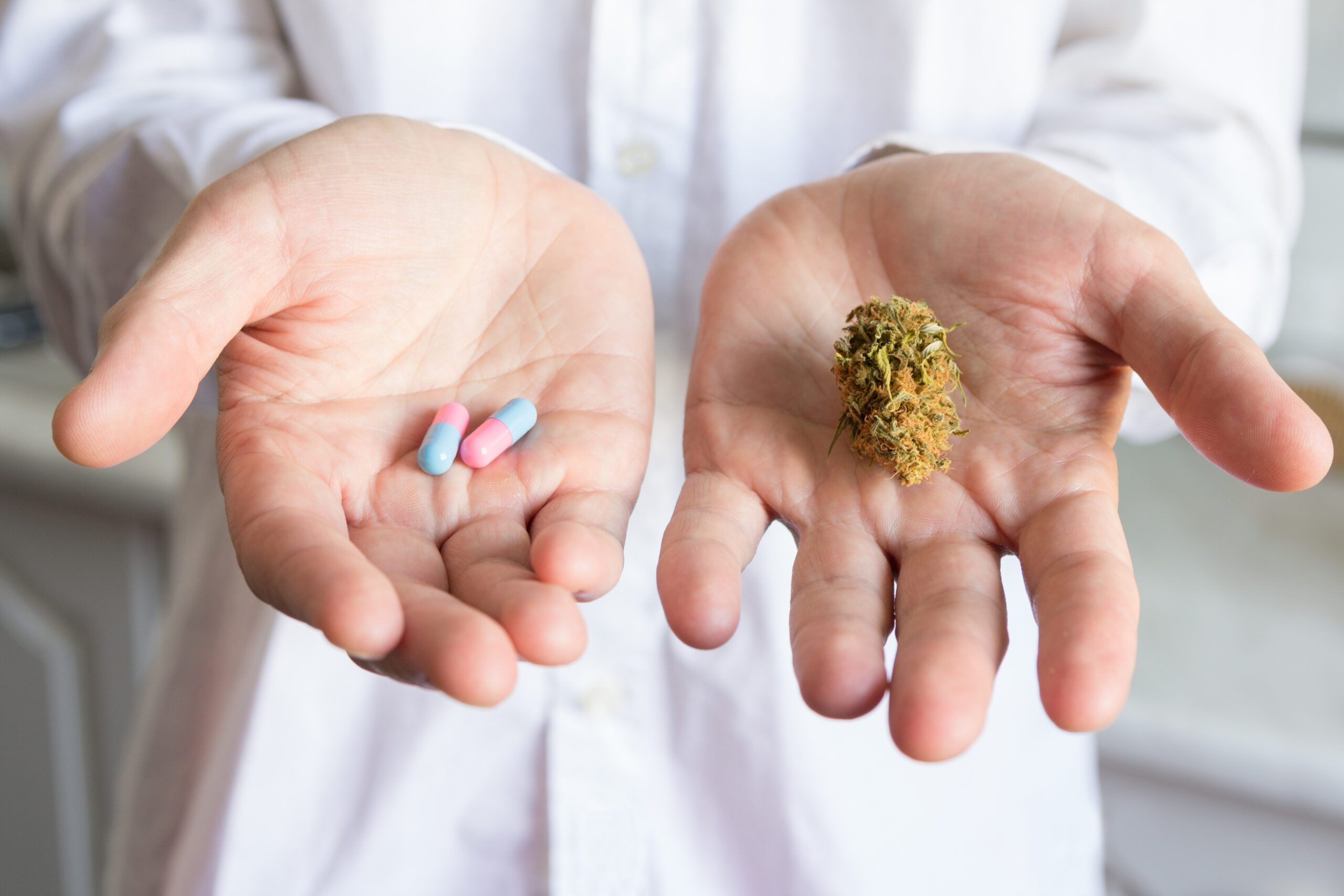 Doctor hand offering bud of medical cannabis and pills. Concept of choice of traditional medications and cannabis