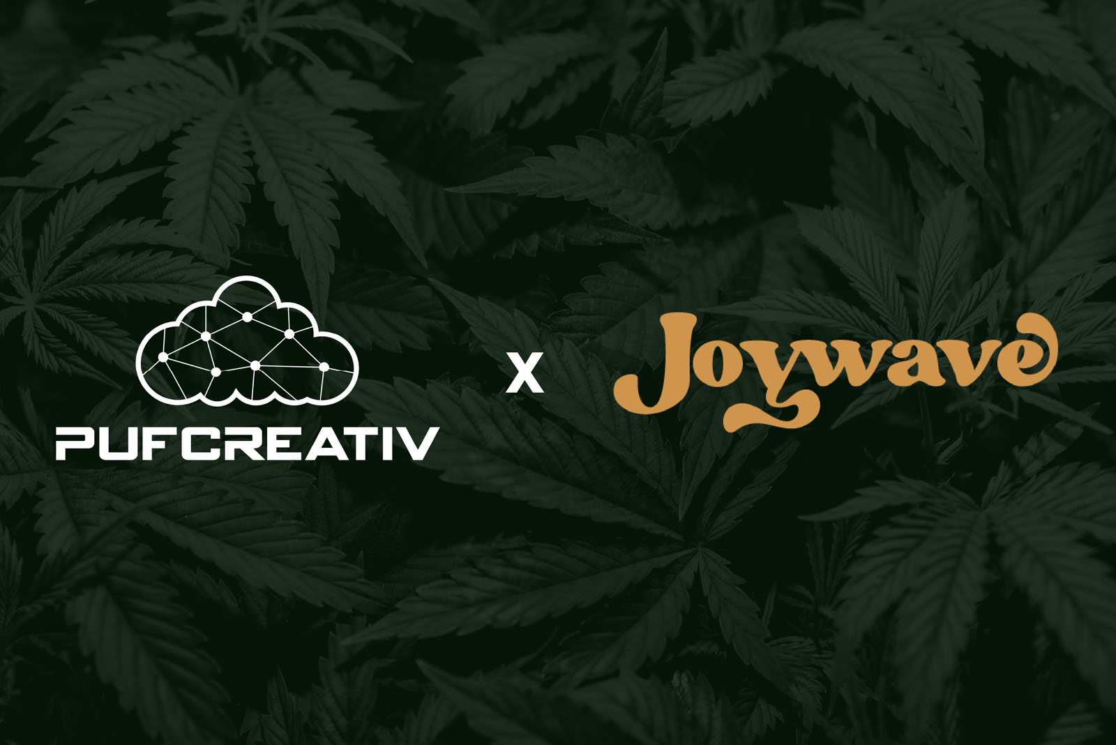 PufCreativ partners with Joywave Consulting to bring cannabis operators expert strategy, SOPs, and brand power.