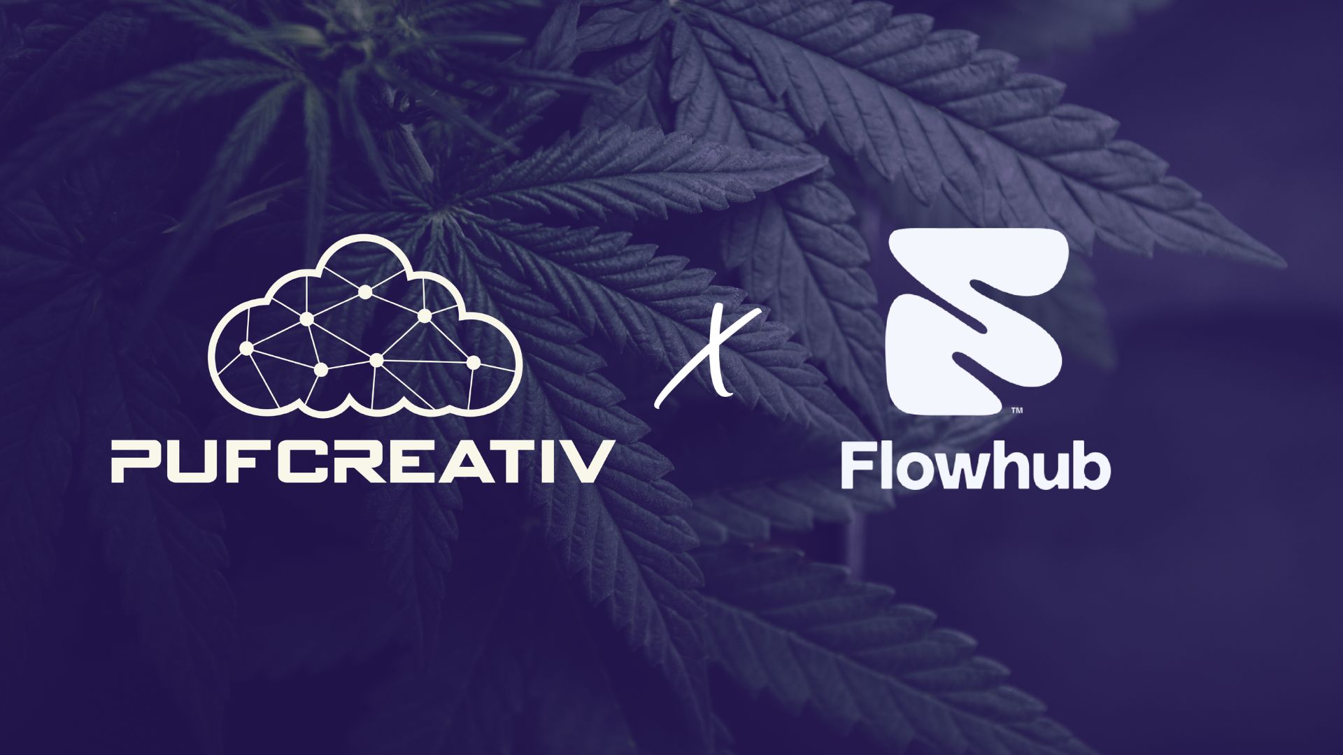 Pufcreativ partnership with flowhub