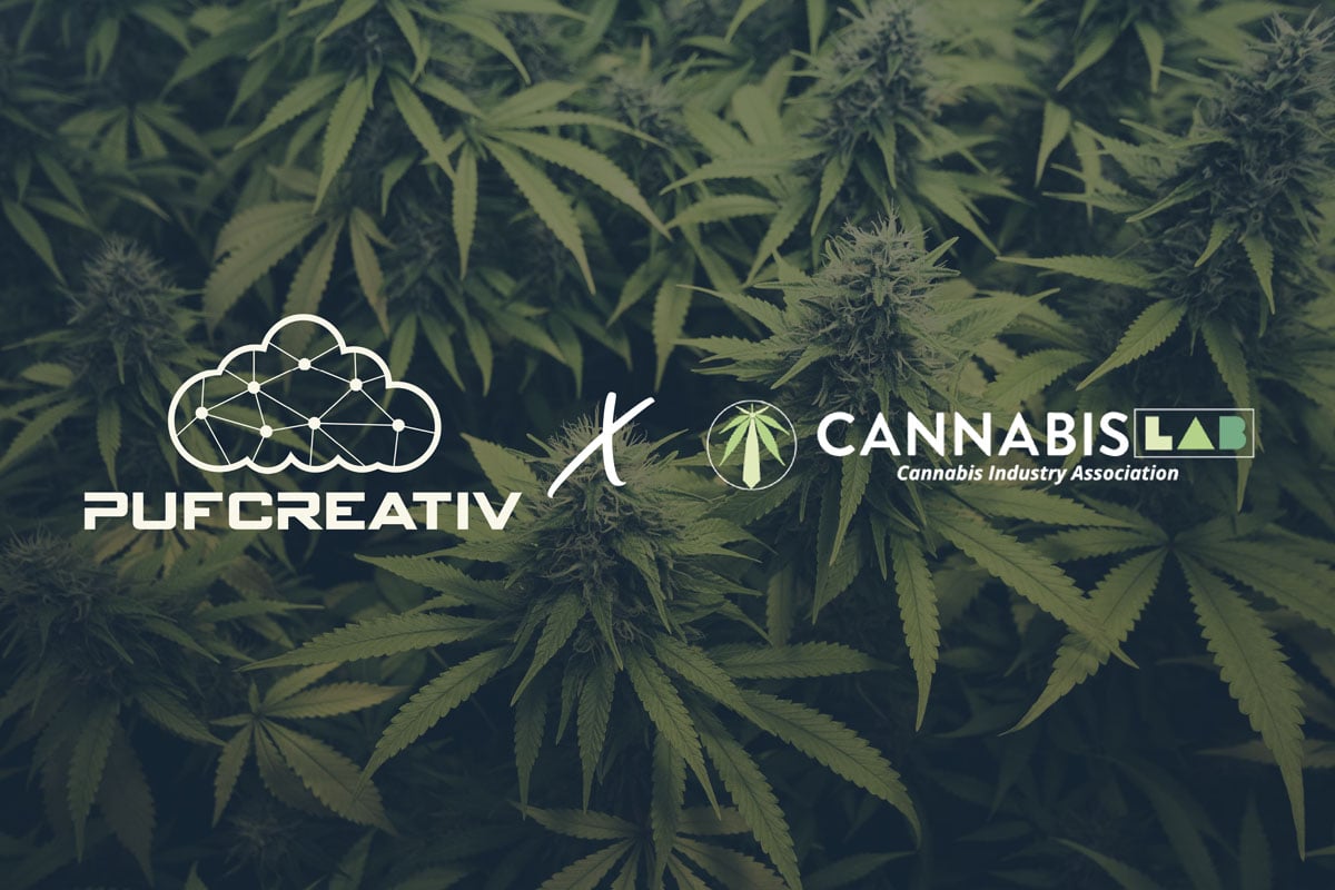 At PufCreativ, we're always looking for partners who bring something real to the table for our clients. These are organizations that are genuinely moving the cannabis industry forward in ways that matter.