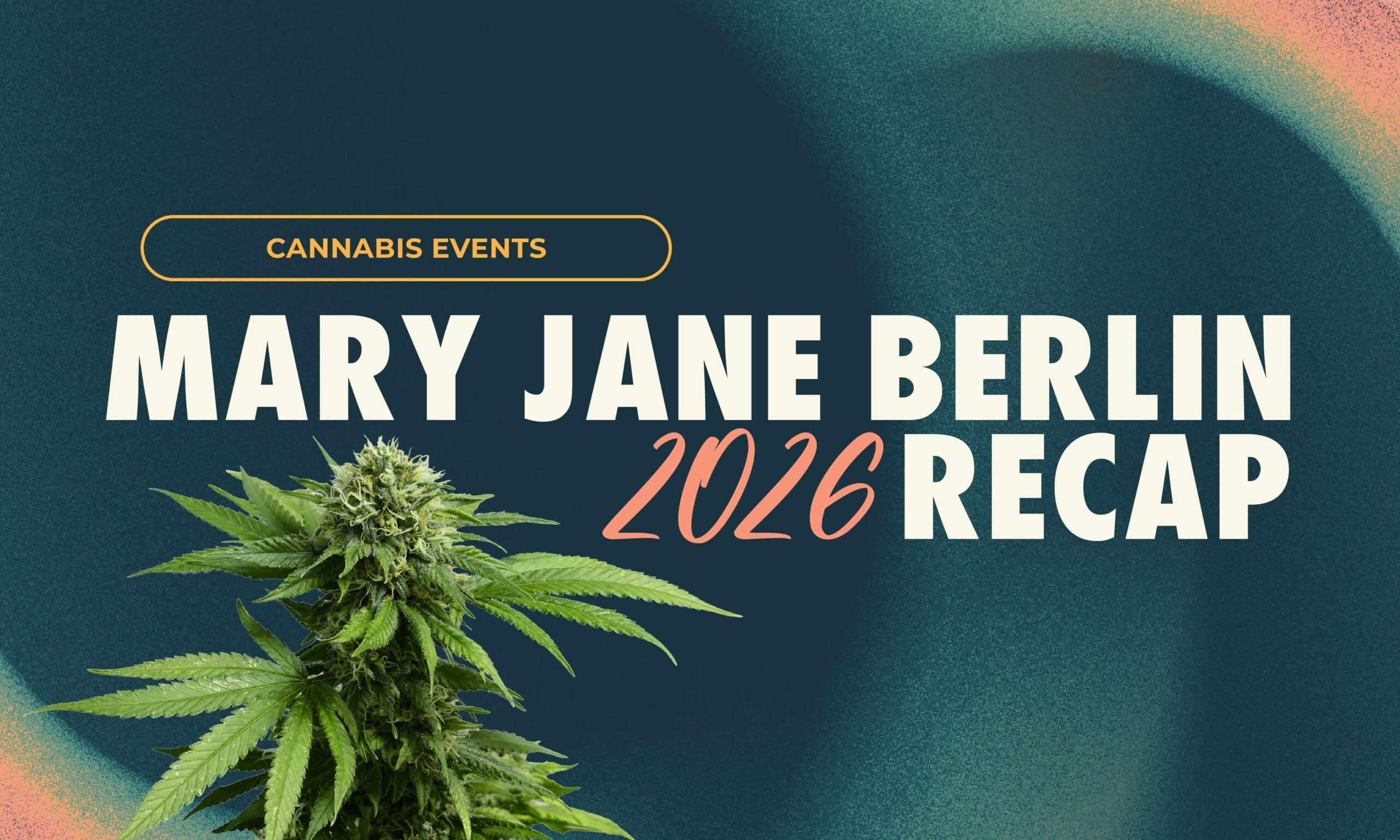 A firsthand Mary Jane Berlin 2026 recap covering European cannabis culture, international brands, concentrates, workplace wellness, and industry trends.
