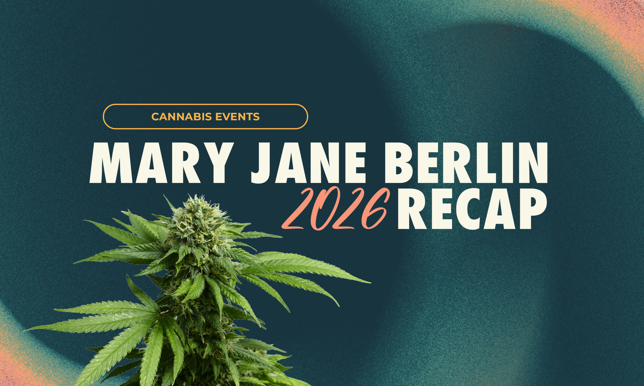 A firsthand Mary Jane Berlin 2026 recap covering European cannabis culture, international brands, concentrates, workplace wellness, and industry trends.
