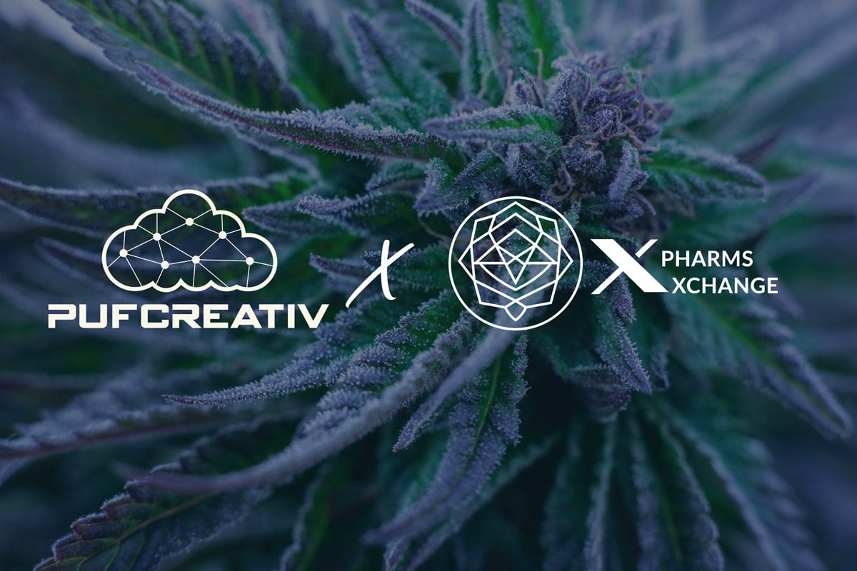 XPharms Xchange is the blockchain-powered global cannabis trading platform built for secure, borderless deals.