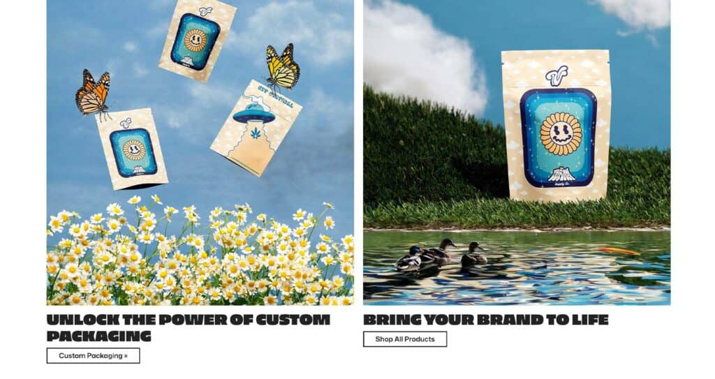 Two images: Left shows custom packaging by Vertical Supply Co. with cartoon designs floating among daisies and butterflies under a blue sky. Right shows a similar Vertical Supply Co. package by the water with ducks nearby. Both images have bold text promoting custom packaging.
